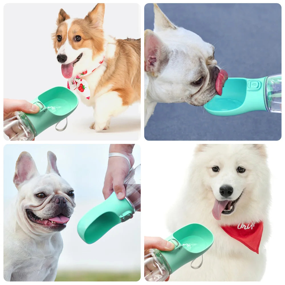 Pet Hydration On-the-Go™